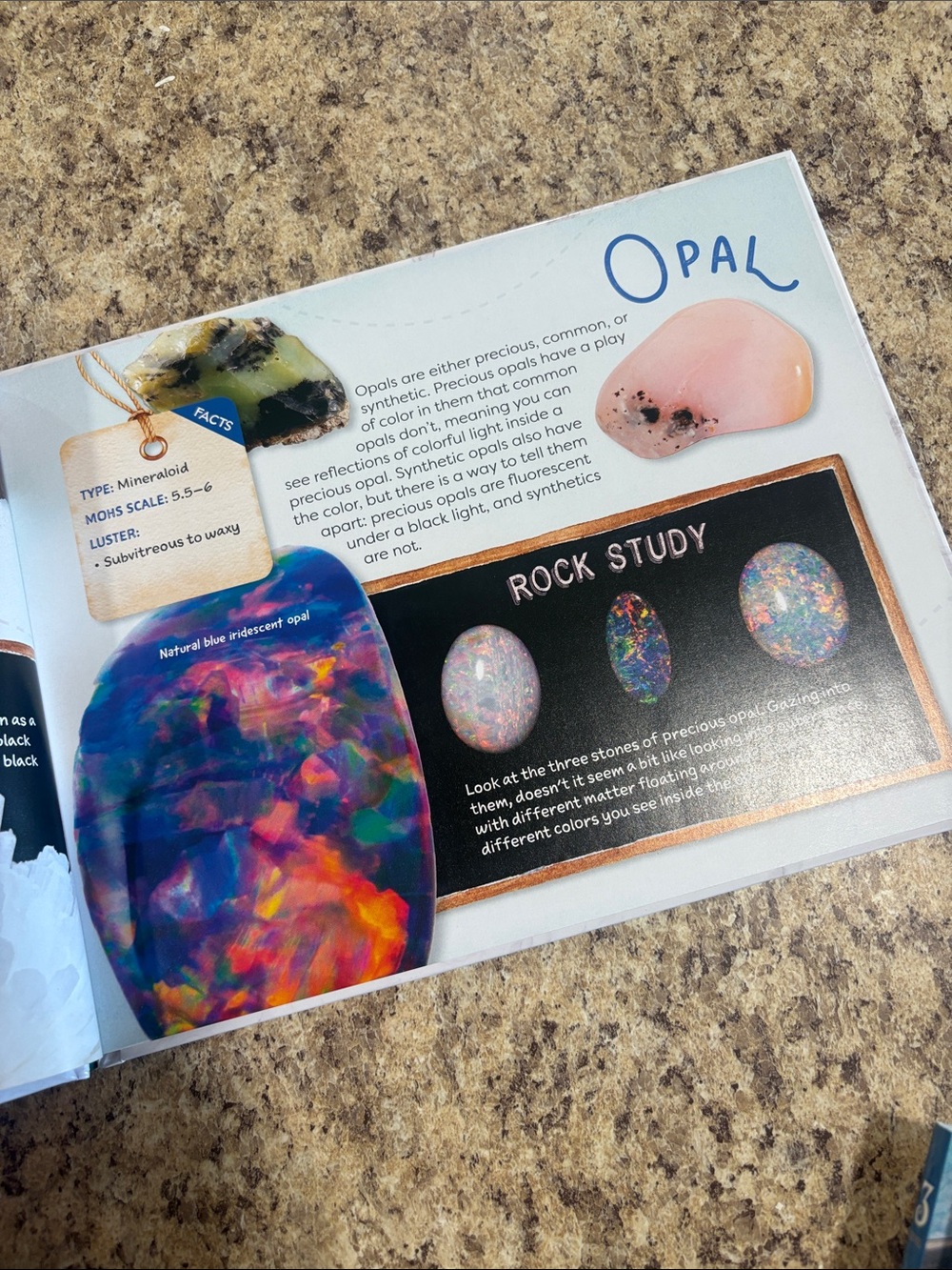 The Good and The Beautiful Homeschool Science Curriculum Unit Studies Grades 3-8 - Picture 8 of 15